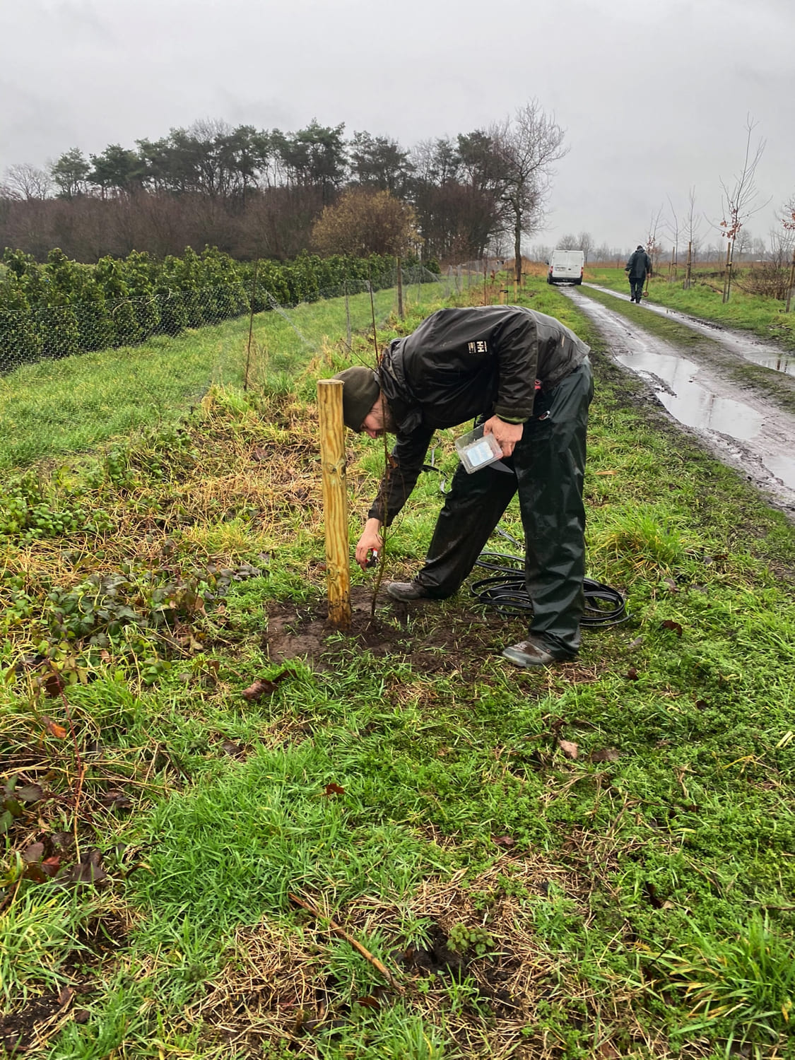 Jerôme Boomwerken | Aanplanten en verplanten van bomen