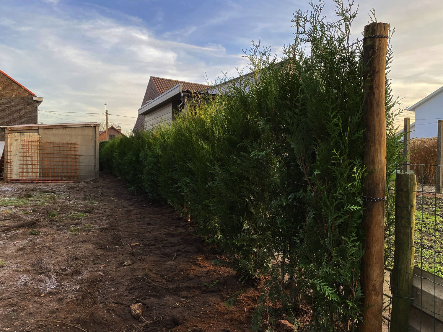 Jerôme Boomwerken | Aanplanten en verplanten van bomen