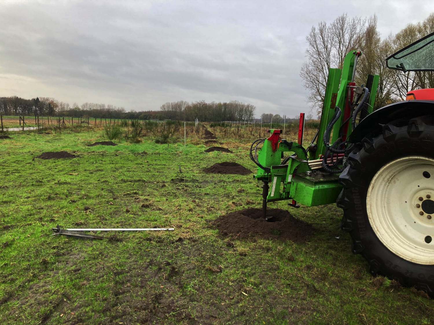 Jerôme Boomwerken | Aanplanten en verplanten van bomen
