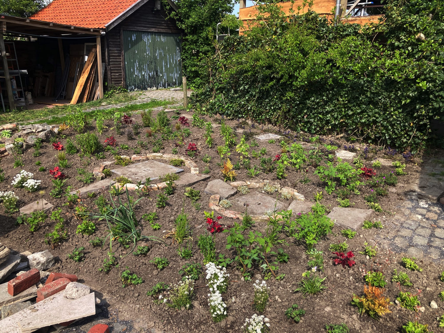 Jerôme Boomwerken | Aanplanten en verplanten van bomen