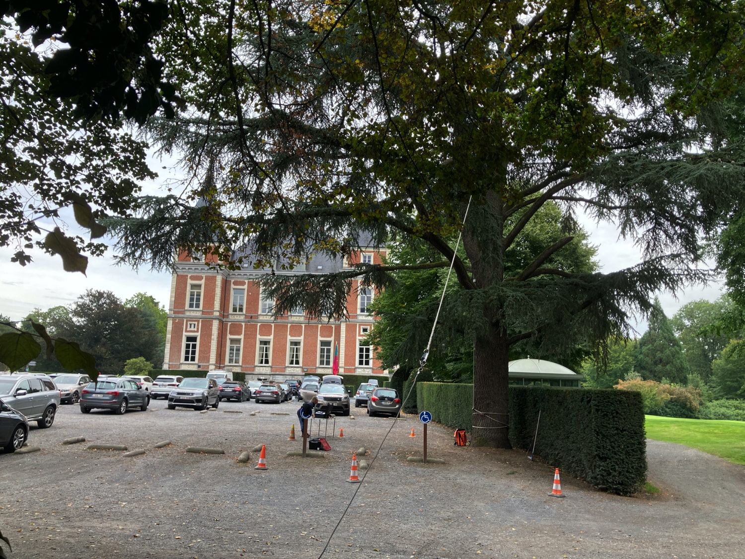 Jerôme Boomwerken | Advies en onderzoek