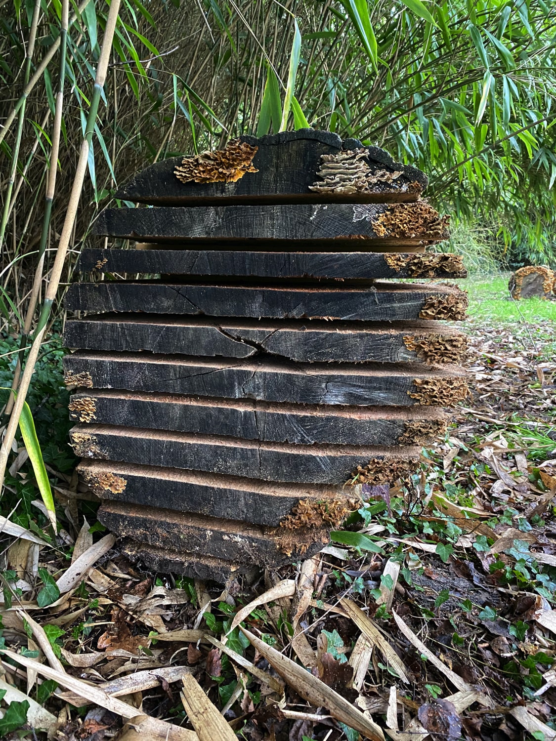 Jerôme Boomwerken | Kleine grondwerken