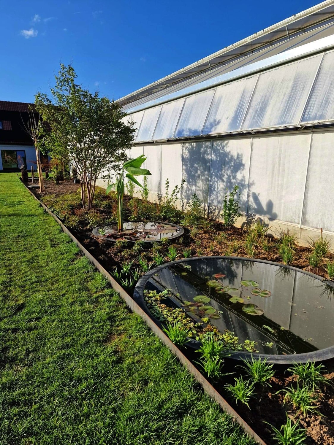 Jerôme Boomwerken | Kleine grondwerken