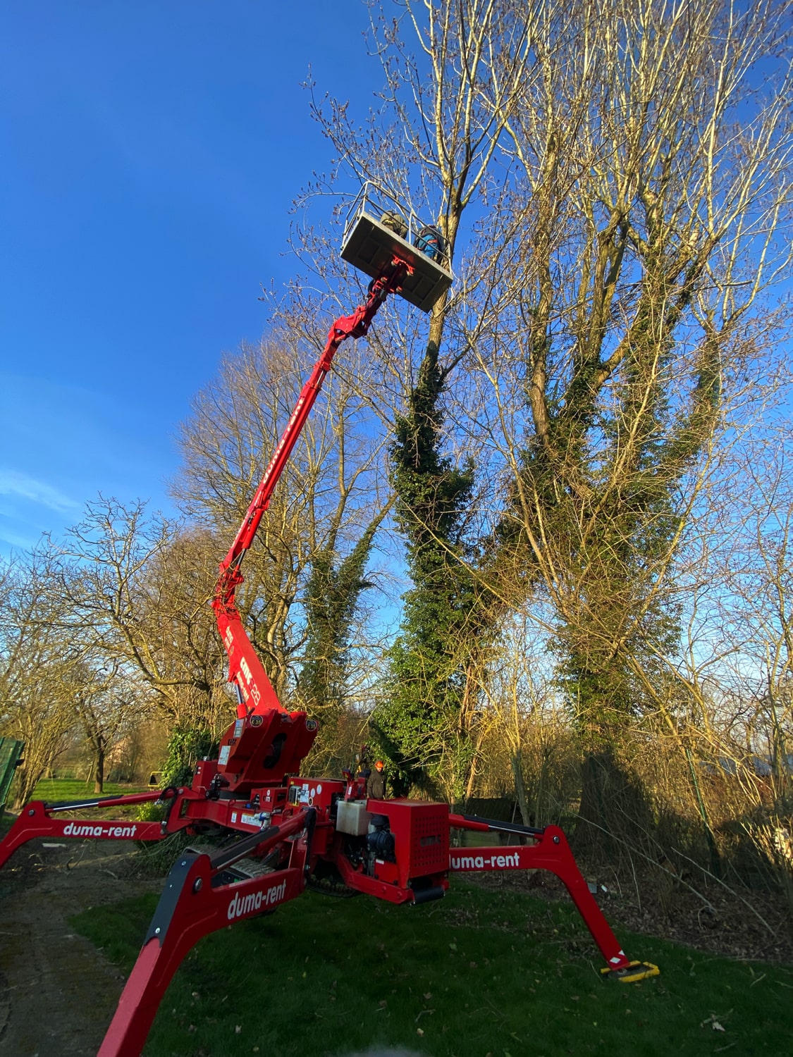 Jerôme Boomwerken | Stormschade
