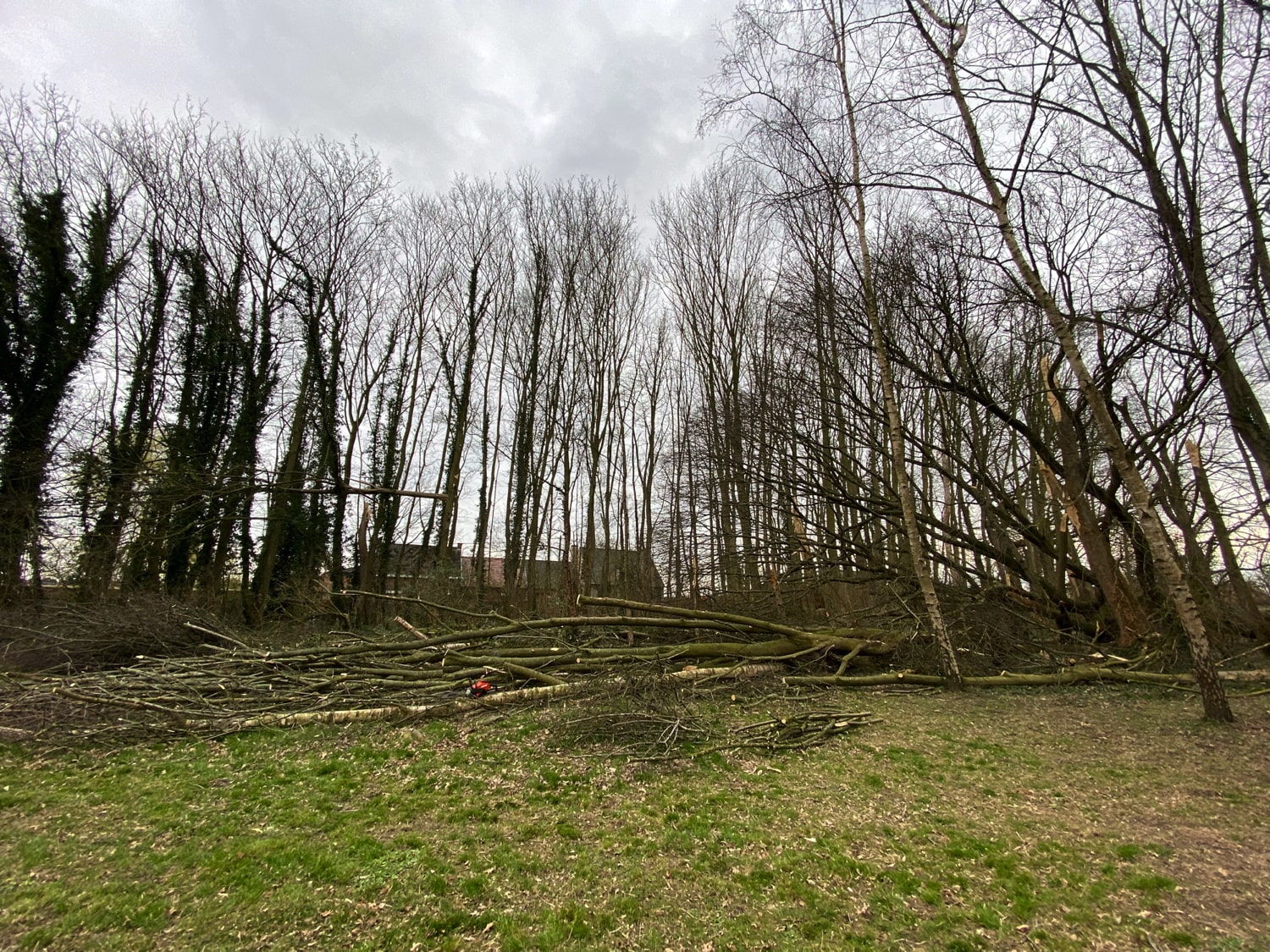 Jerôme Boomwerken | Stormschade