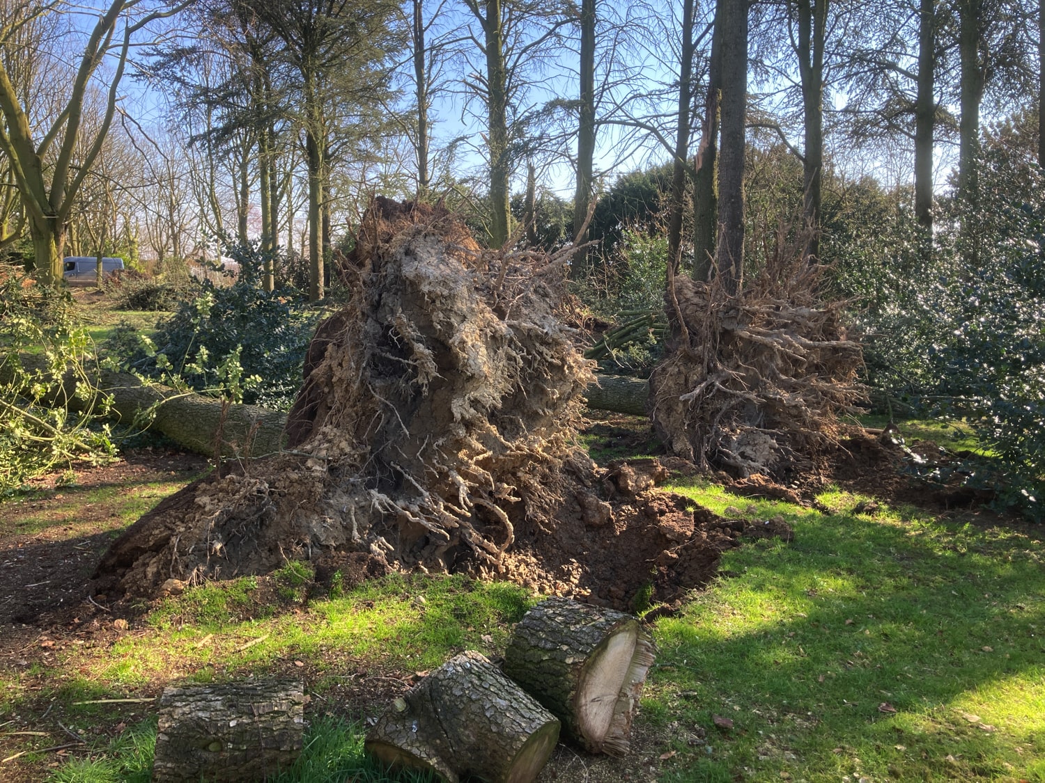 Jerôme Boomwerken | Stormschade